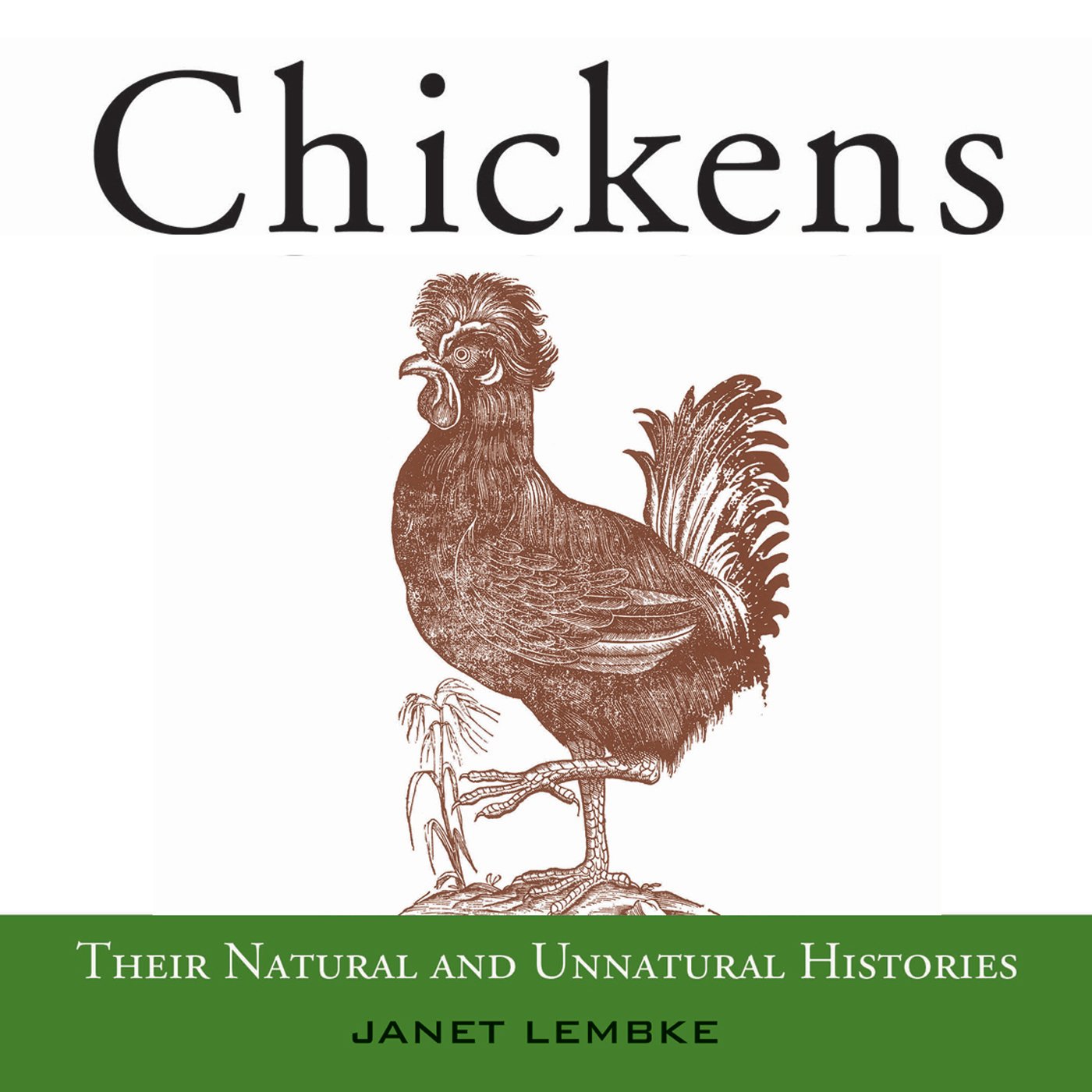 Cover art for Chickens
