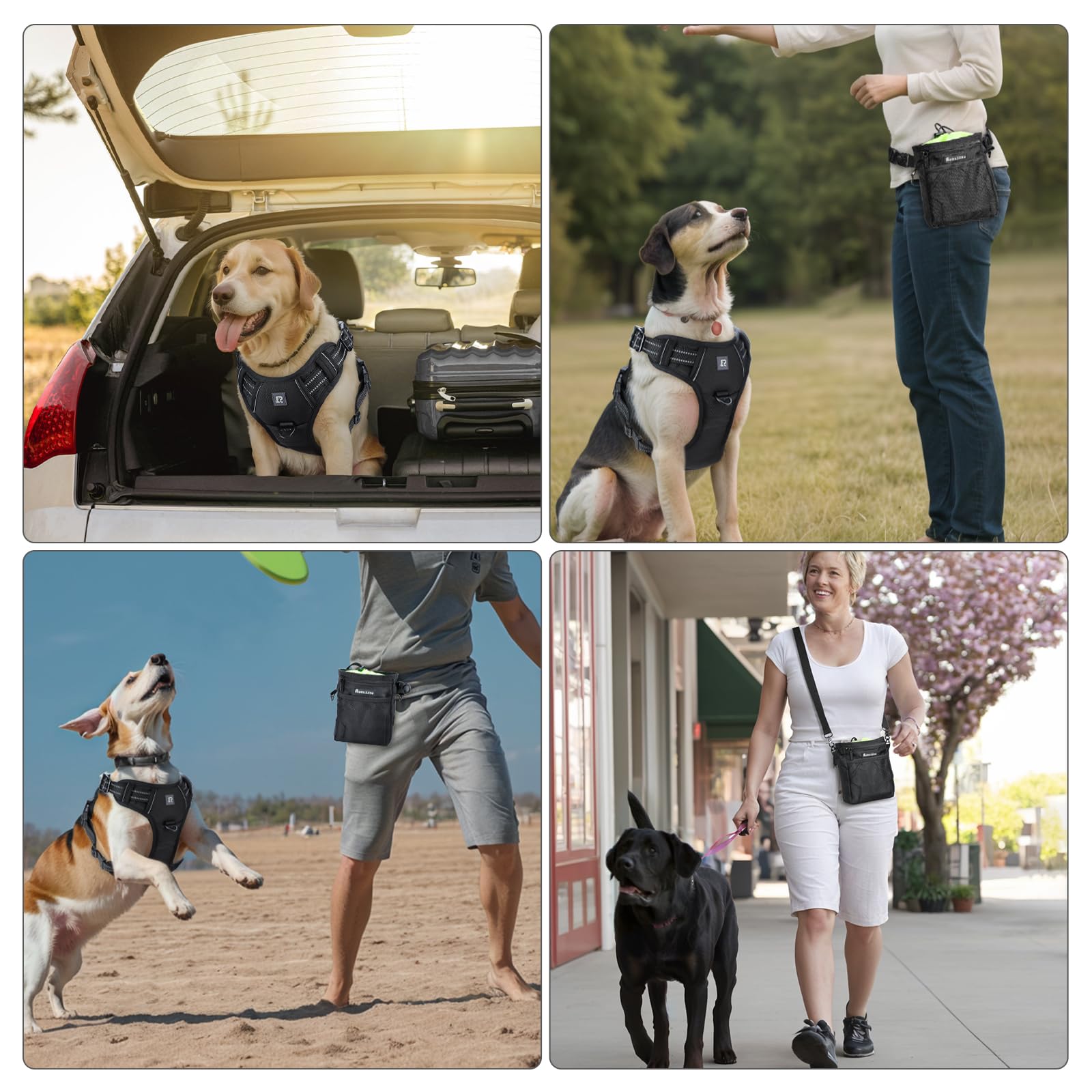 Borsa Addestramento Cani, Sacchetto di Allenamento per Cani Borsa per Il Cibo per Cani Animali Multifunzionale Snack Borsa