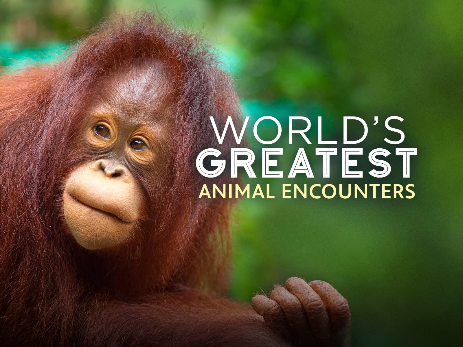 World's Greatest, Season 2