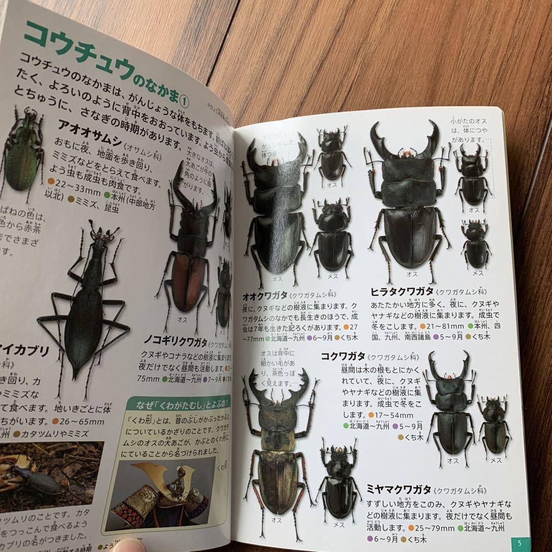 図書　図鑑 小学館の図鑑NEO 昆虫 | 小池 啓一, 小野 展嗣, 町田龍一郎 |本