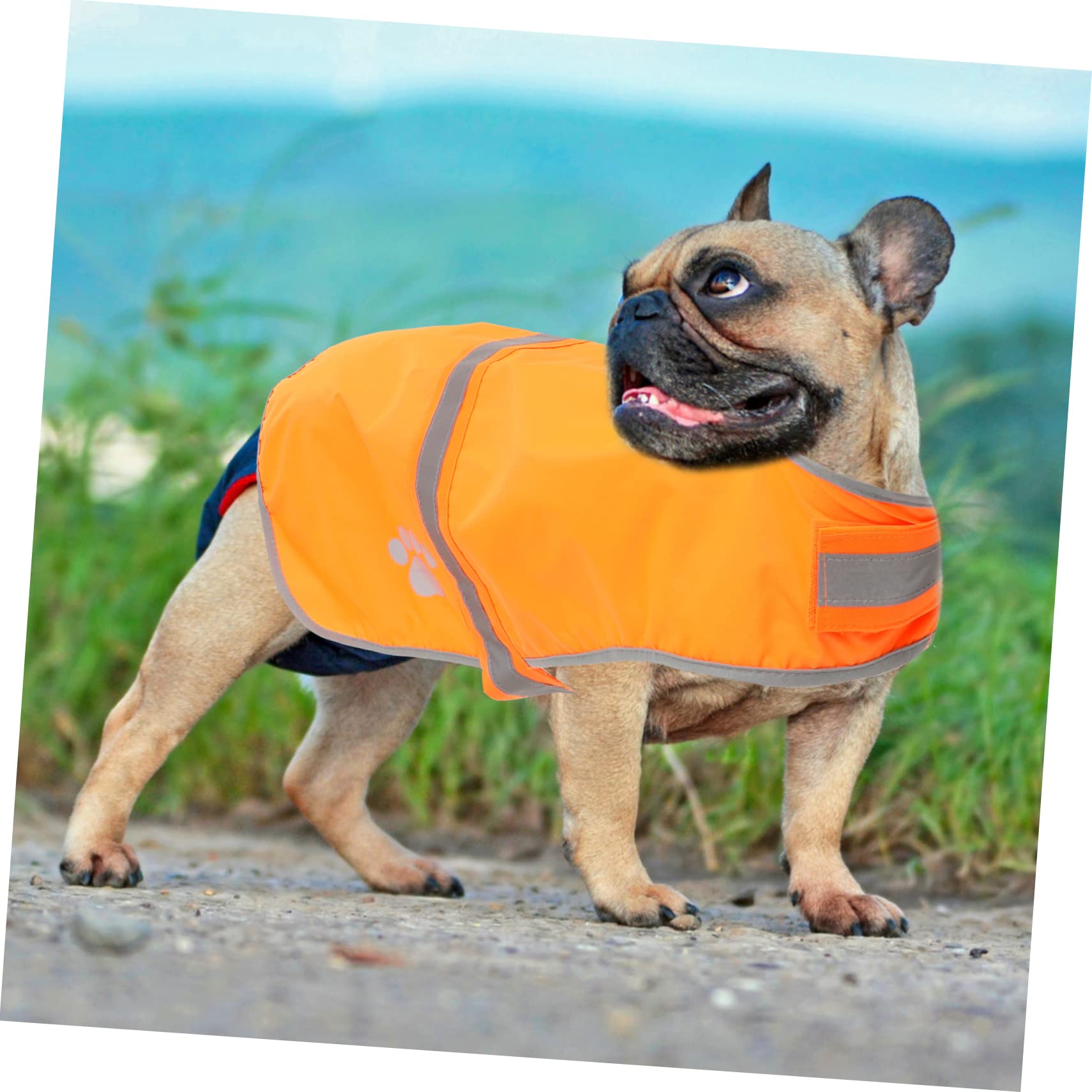 INOOMP 5St Hund reflektierende Weste Welpenweste Haustier-Hundekleidung Reflektorweste hundewarnwesten Hunde Warnweste Haustierweste Outdoor-Haustierkleidung Oxford-Stoff Orange