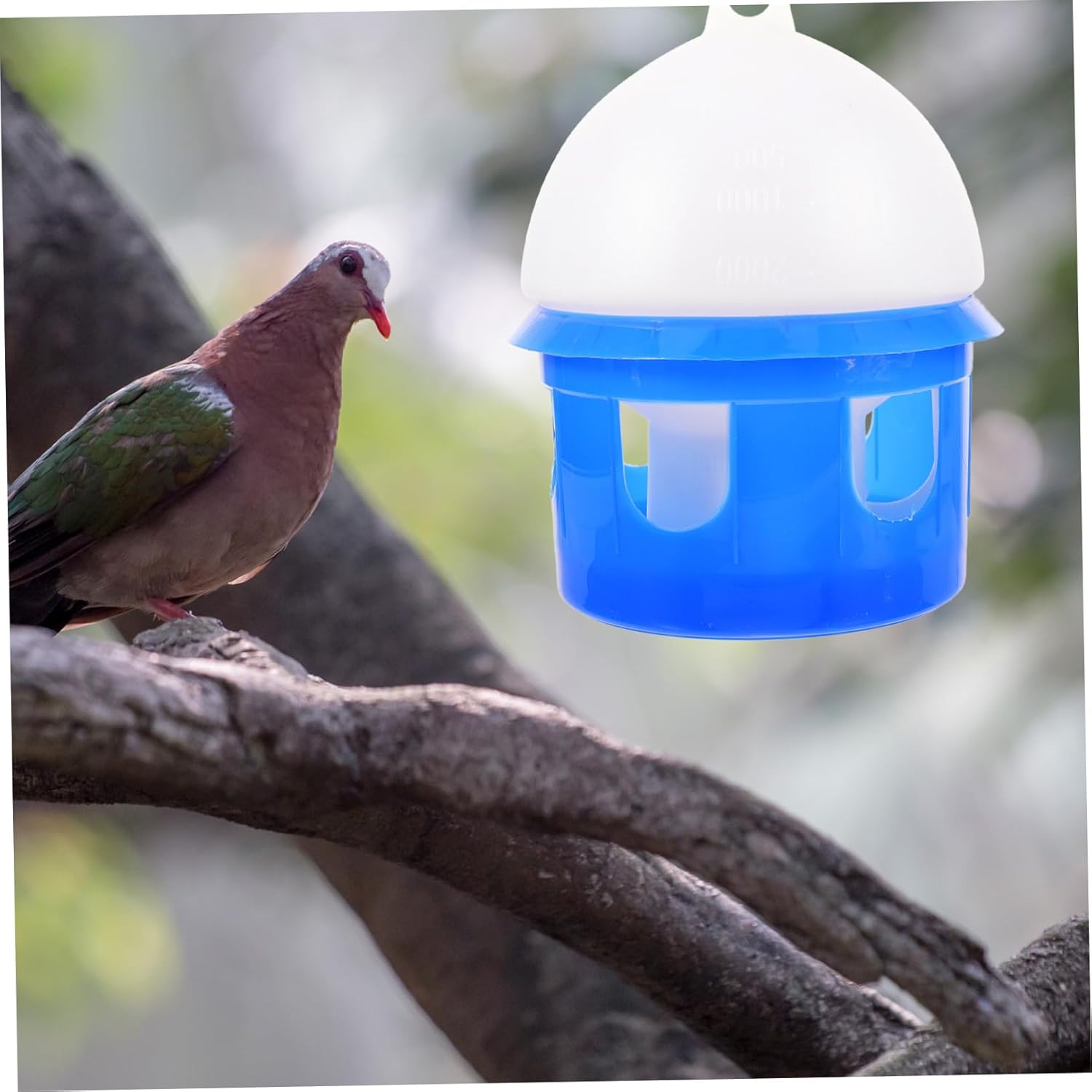 1pc Automatic Pigeon Water Feeder Drinker for Birds Capacity for Home Pet Shops and Zoos and Easy to Use
