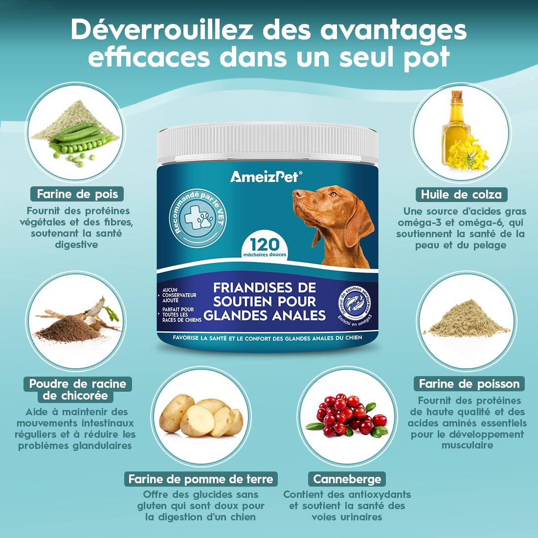 AmeizPet Traitement des Glandes Anales pour Chiens, Friandises Fonctionnelles en Fibres Digestives pour Les Glandes De Chiens, à Mâcher Sainement, 120 Friandises