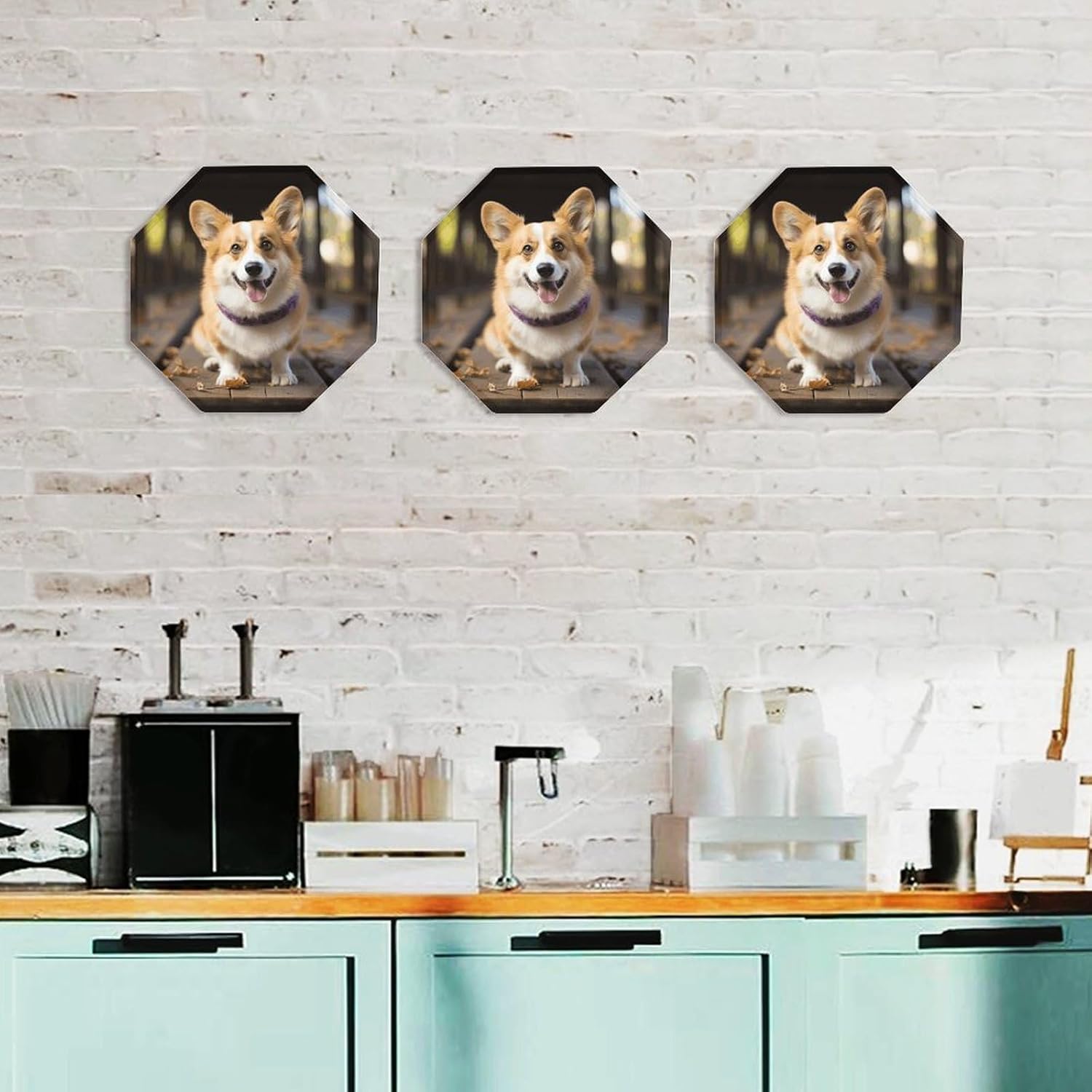 Ctagon Metal Sign for Home, Modern Display Plate for Kitchen, Dog Corgi Plates Accent Hanging Wall Decorations 3PCS for Living Room, Bedroom, Hallway, Hotel