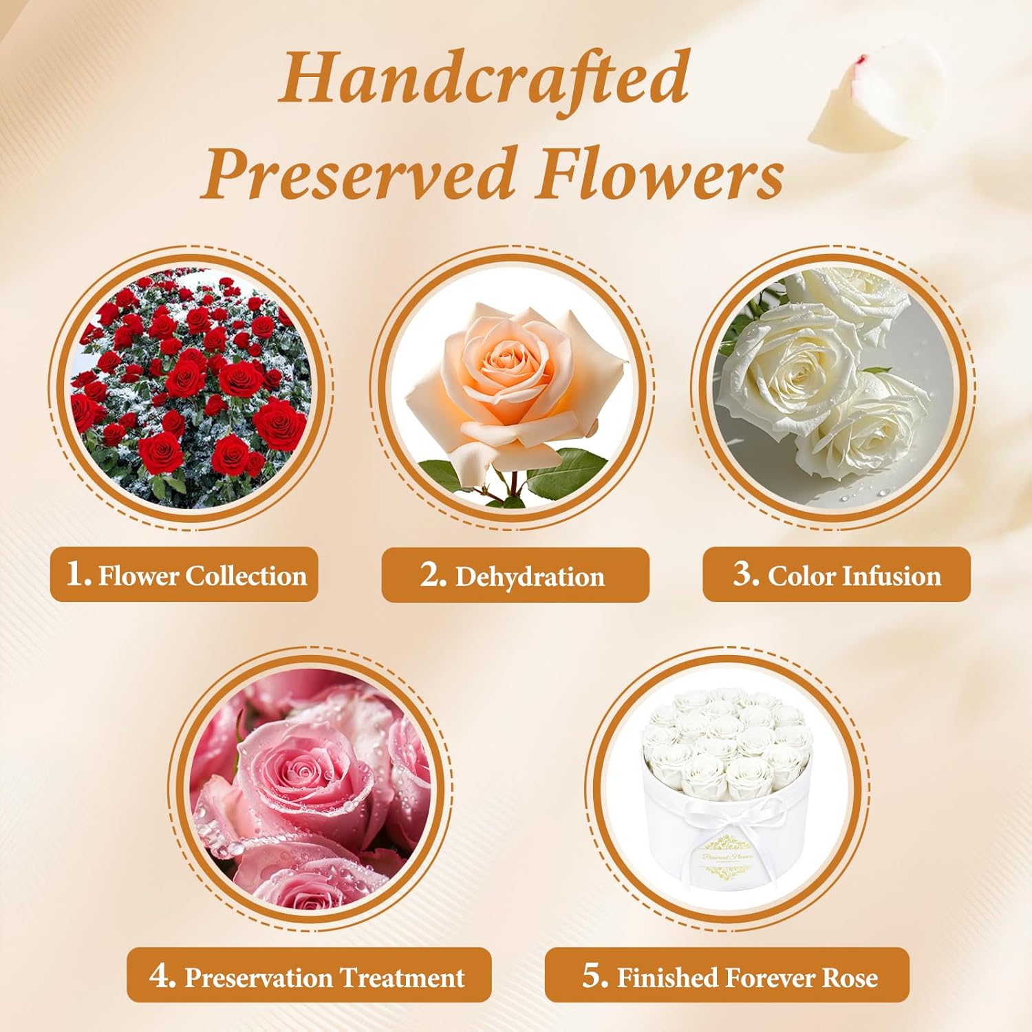 17 Forever Flowers in a Luxury Suede Box, Preserved Roses Birthday Gifts for Women, Romantic Anniversary Valentines Day Gifts for Her Girlfriend Wife, White - Image 6