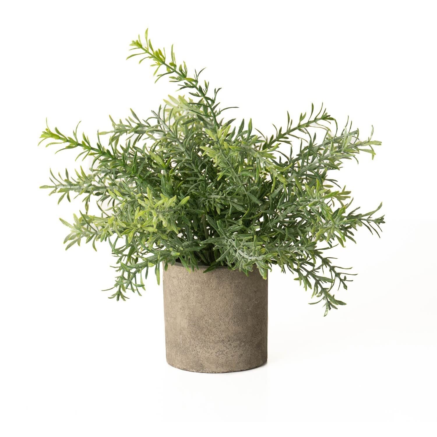 Vendor-Unknown Green Rosemary Plant In Stone Effect Pot