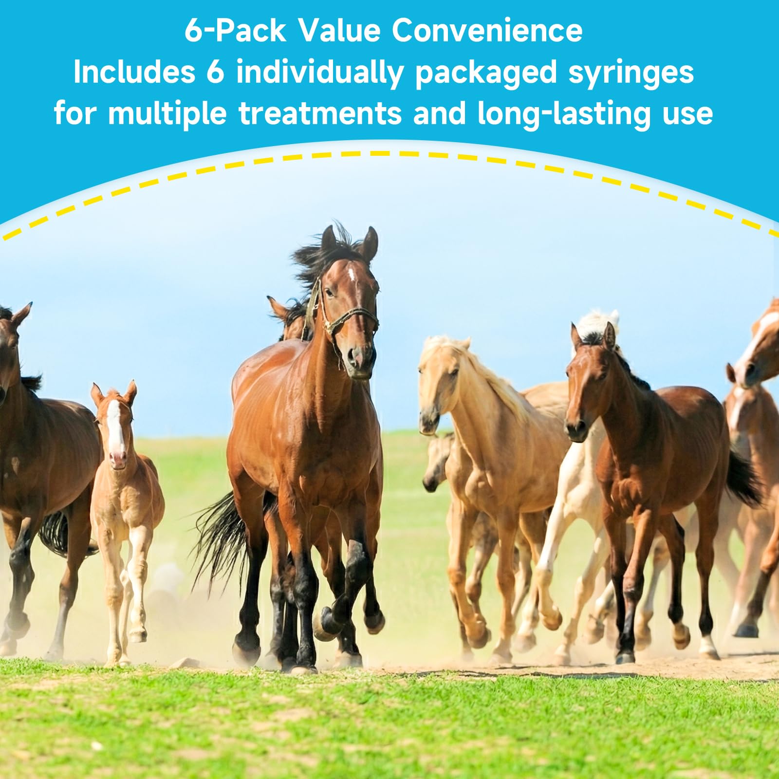 Ivermectin Horse Dewormer Paste, Apple Flavor, 0.21 oz, 6-Pack – Effective Worm Treatment for Horses — view 5