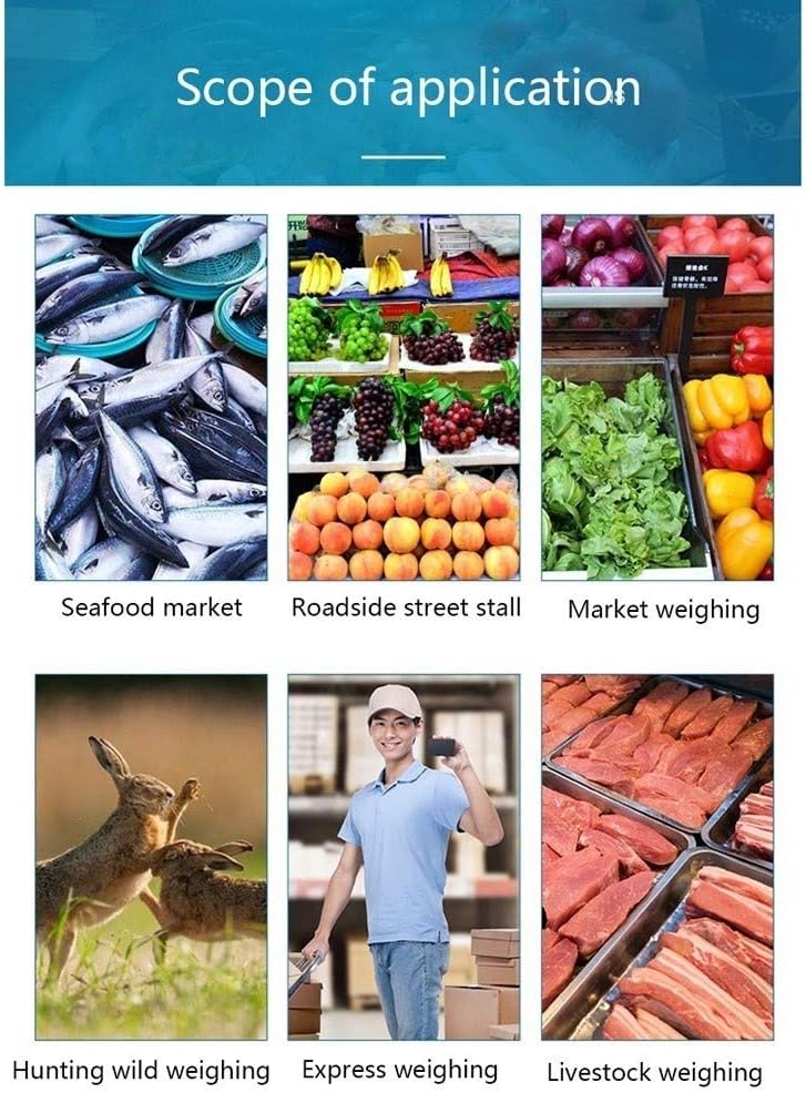 Mini Crane Scale, 300kg/0.1g Digital Industrial Electronic Crane Scale with LCD Display Home Outdoor Farm Weighing