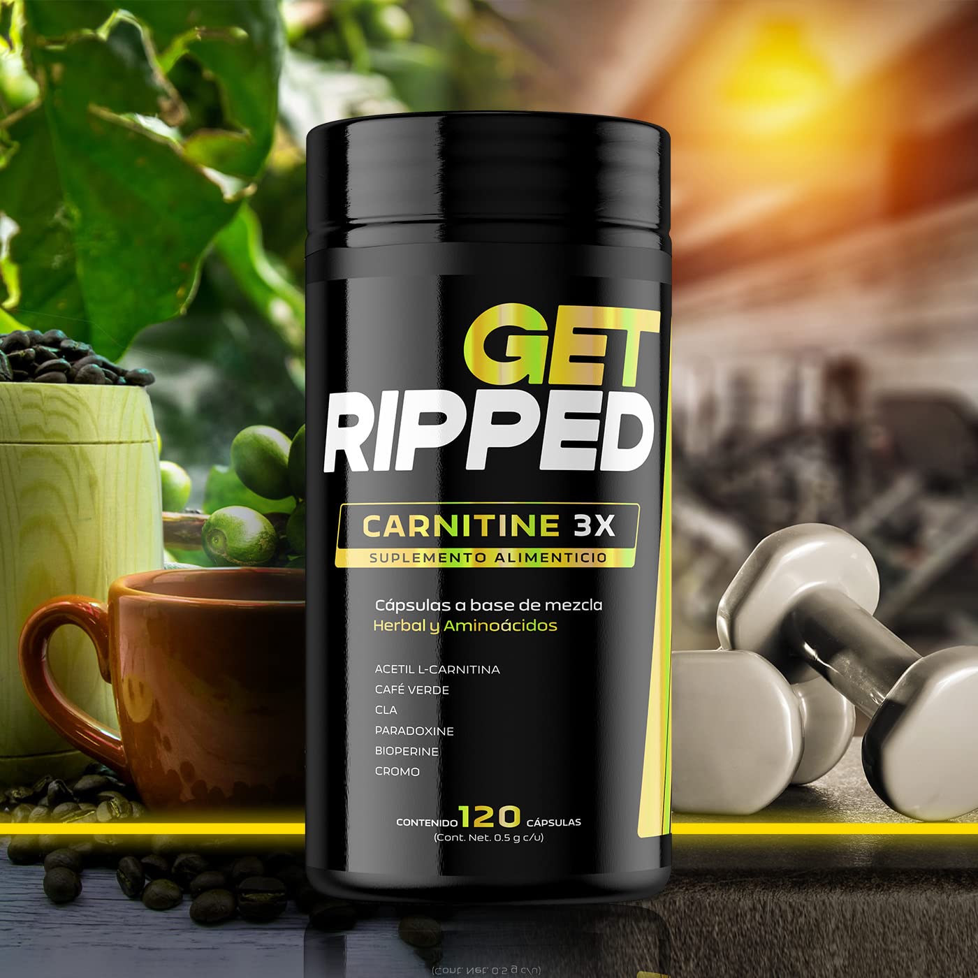 fr was ist l-carnitin gut Best Body Nutrition L-Carnitin Liquid Lime 1000ml  1030 mg L-Carnitin pro  Portion  Carnipure Qualitt  Mit Vitamin B6  Trinkfertig  Hohe  Rohstoffqualitt  Inkl. Dosierkappe : Amazon.de: Drogerie & Krperpflege