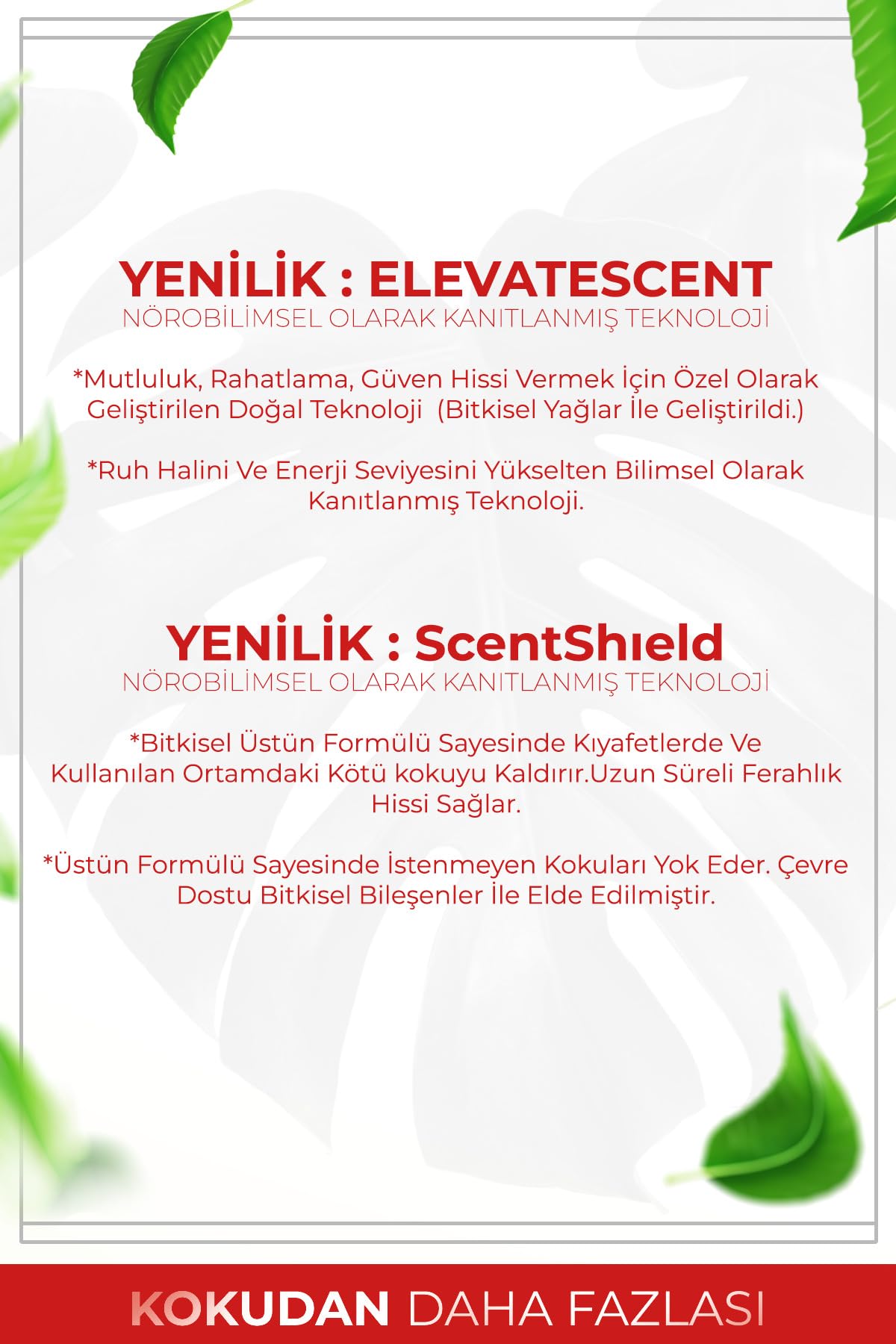 AURAN Misk & Gül Esansiyel Uçucu Koku Yağı Difüzor Esansı Buhurdanlık Yağı Aromaterapi Yağı 10ml