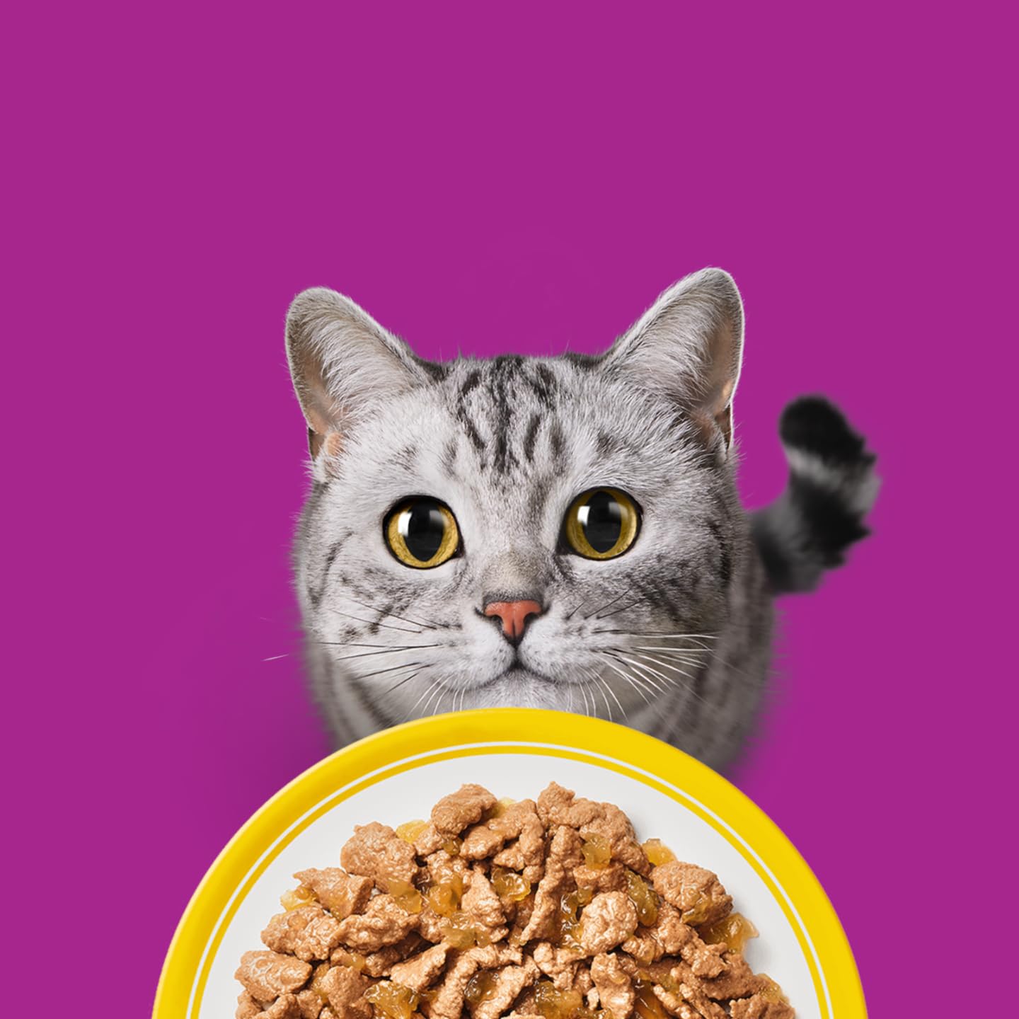 Whiskas Drobiowa Uczta w galaretce mokra karma dla kota w saszetkach 120x 85g