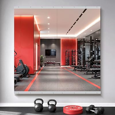 Gym Mirror 50" × 30" (2 panels)