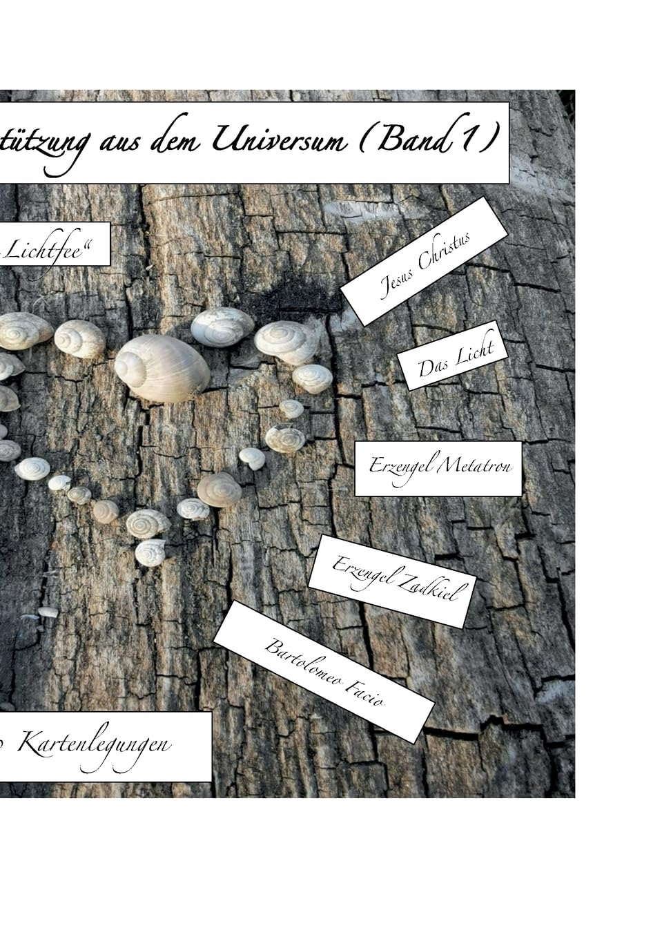 Unterstützung aus dem Universum: (Band 1)