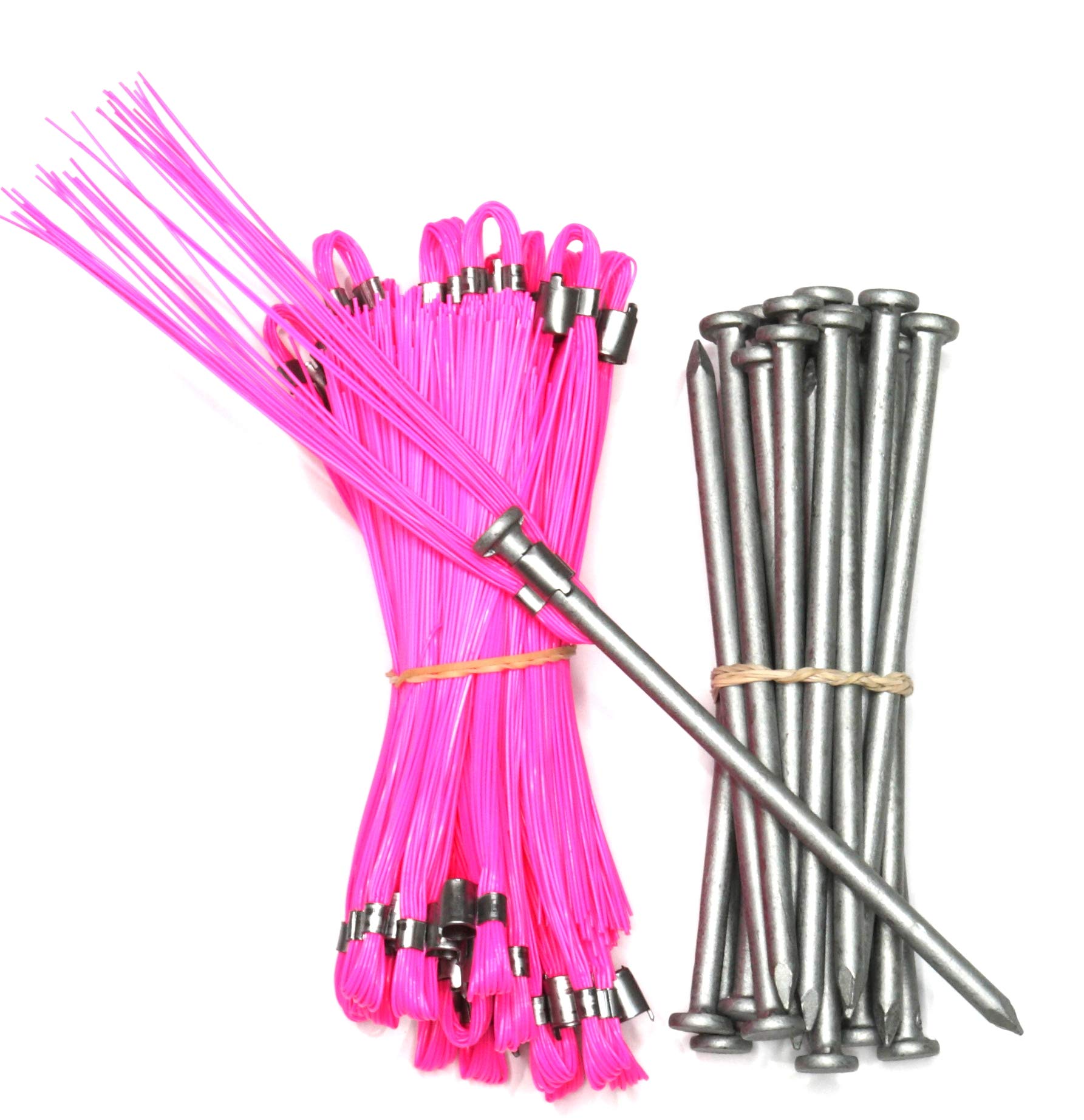 Hard Ground Markers Pink 6 Inch Marking Whiskers with Upgraded Stakes (Package of 25)