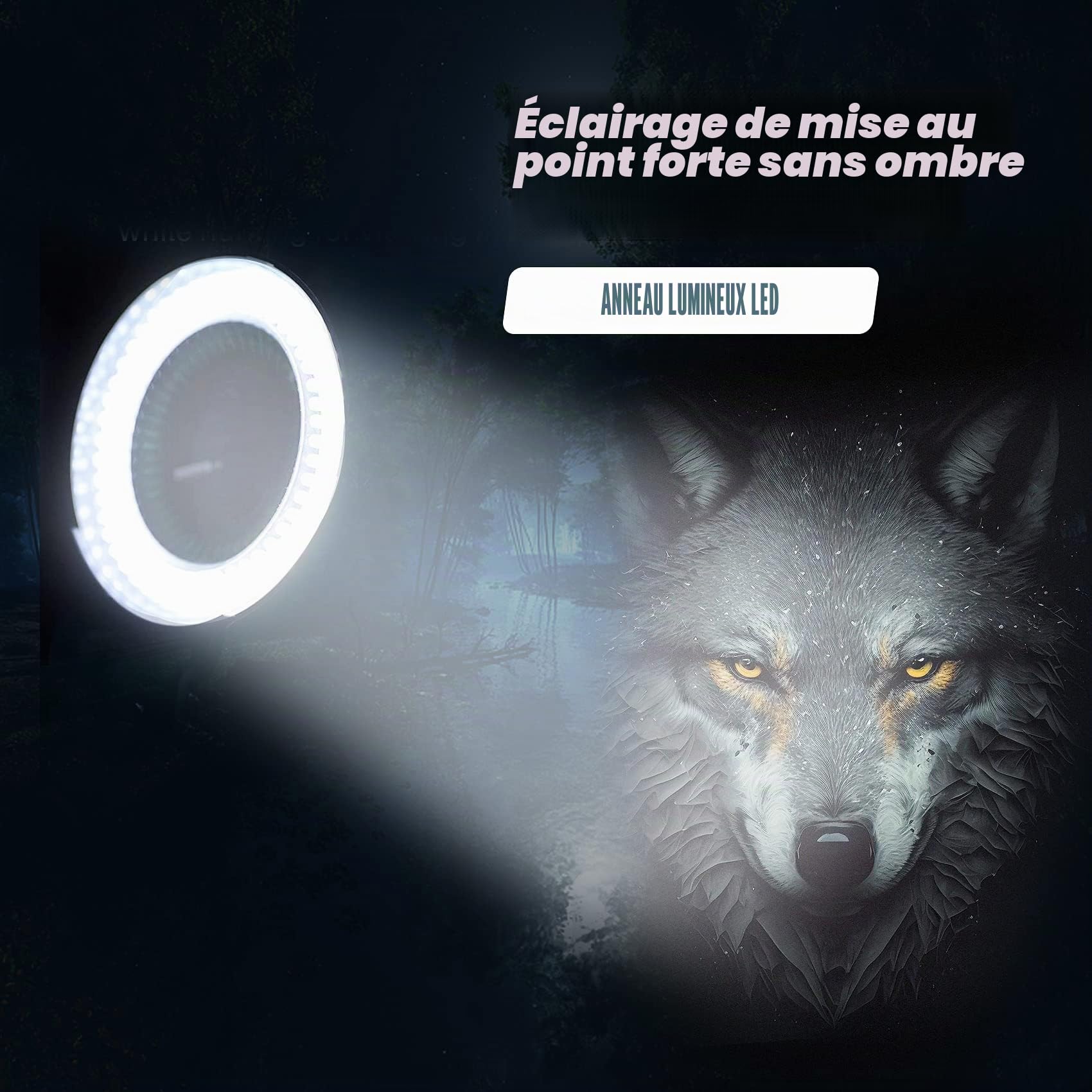 Anneau Industriel 144 pour Microscope Optique - Source Lumineuse 6000 K - Luminosité réglable de 0 à 100% (Prise européenne - Blanc)