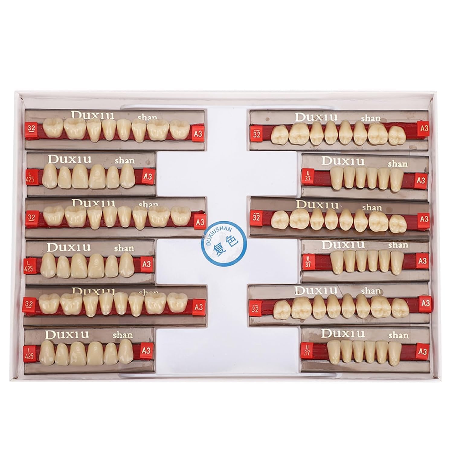 Denti in Resina Sintetica Acrilica per Protesi Dentale, Modelli Dentali, Forniture per Dentisti