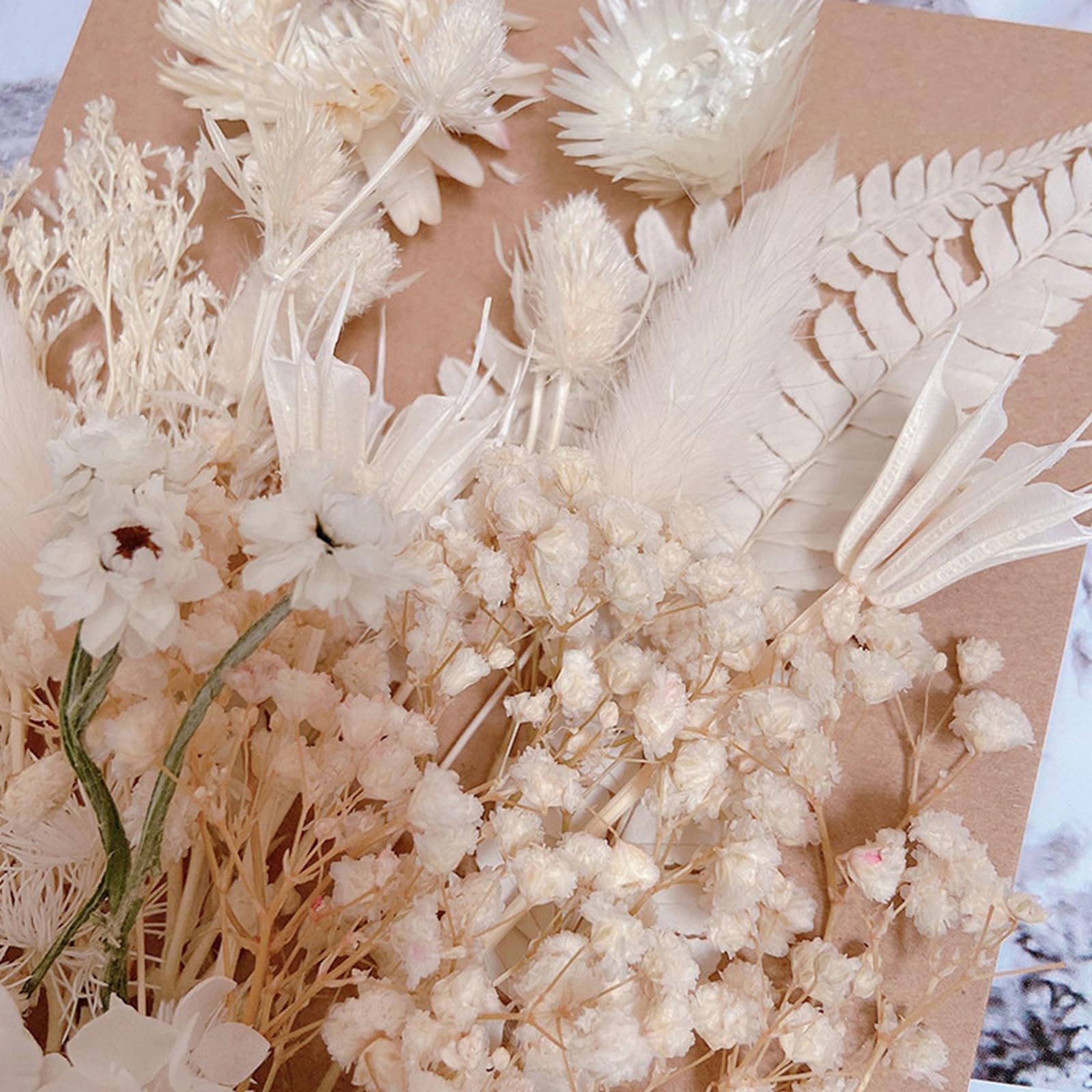 Fiori Secchi Naturali Per Bomboniere E Crafts - Confezione Bianca - Foto 3