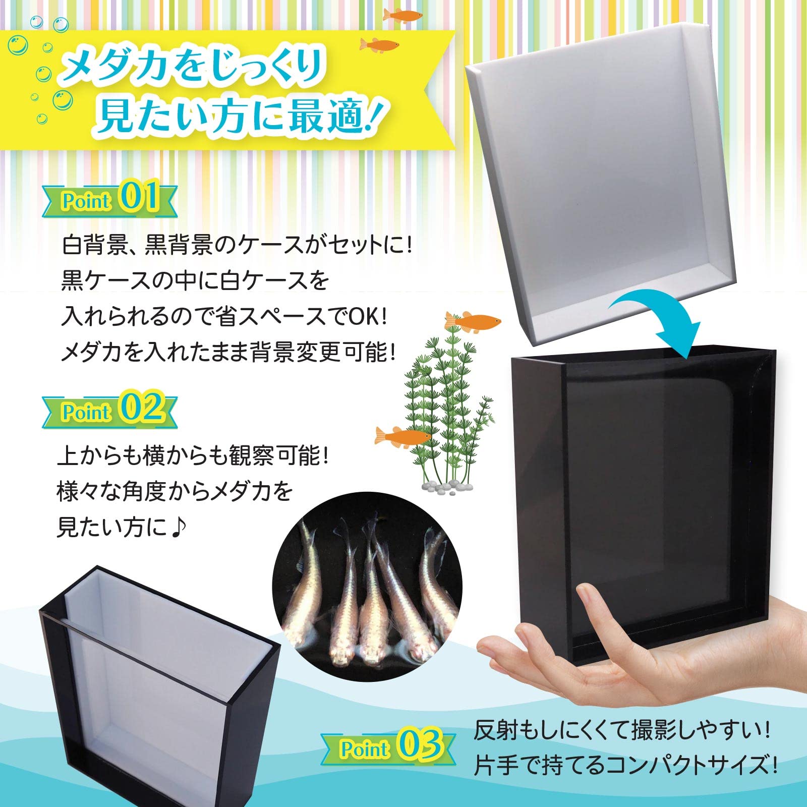 Amazon | めだか 選別 ケース プロ仕様 撮影メダカ めだか容器 白黒