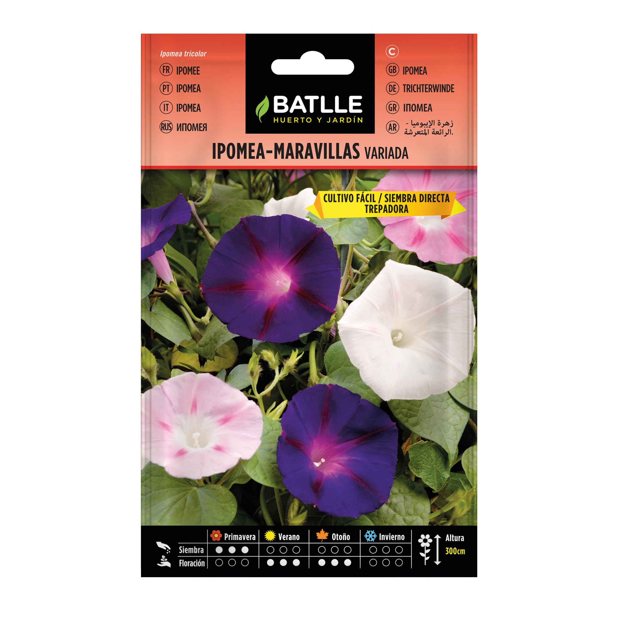 BATLLE Ipomea Maravillas Trepadora – Bolsa de Semillas para Plantar – Flores Anuales Trepadoras para Rejas, Pérgolas, Balcones y Jardín
