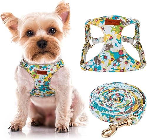 Miniatura 55 de CHEDE No Pull Floral Pattern Dog Harness - Lightweight and Soft, Adjustable Small Dog Harness Set with Leash, Suitable for Puppy to Medium-Sized Dog