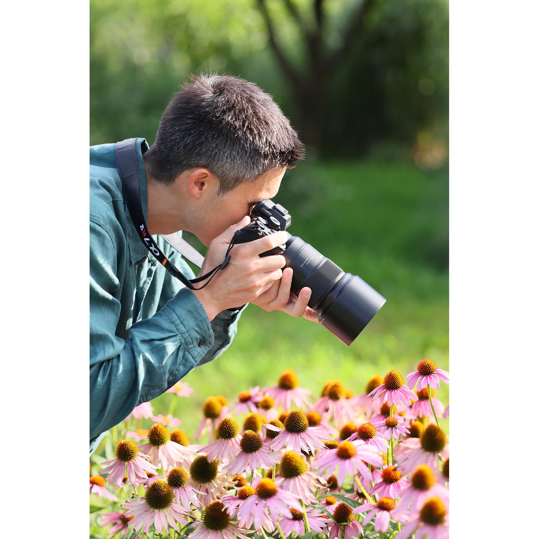 Amazon.com : Tamron 90mm F/2.8 Di III VXD 1:1 Macro for