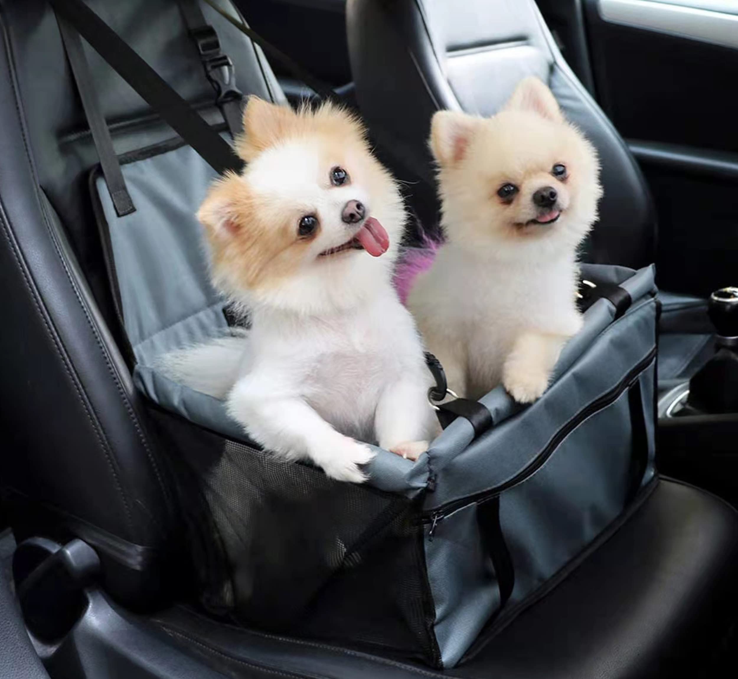 Hundeautositz, Auto-Sitzerhöhung für kleine und mittelgroße Hunde und Katzen, wasserdichte atmungsaktive Haustier-Automatte, Faltbare Oxford Cloth Safety Car Haustiertragetasche (dunkelgrau)
