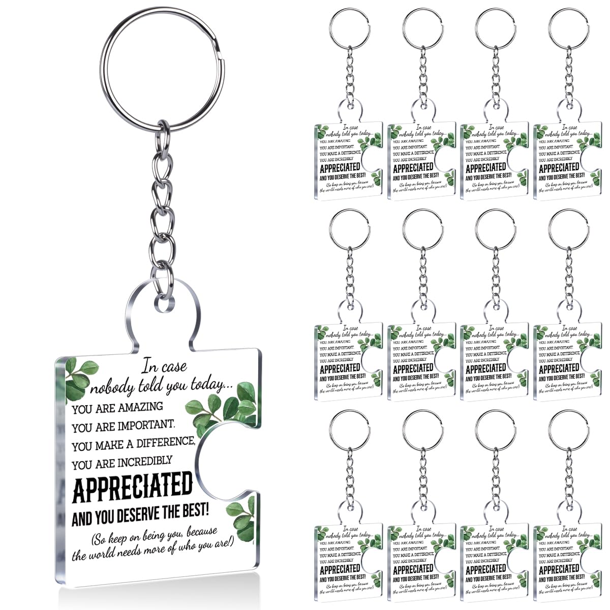 Team Appreciation Gifts Bulk Thank You Keychains for Coworkers