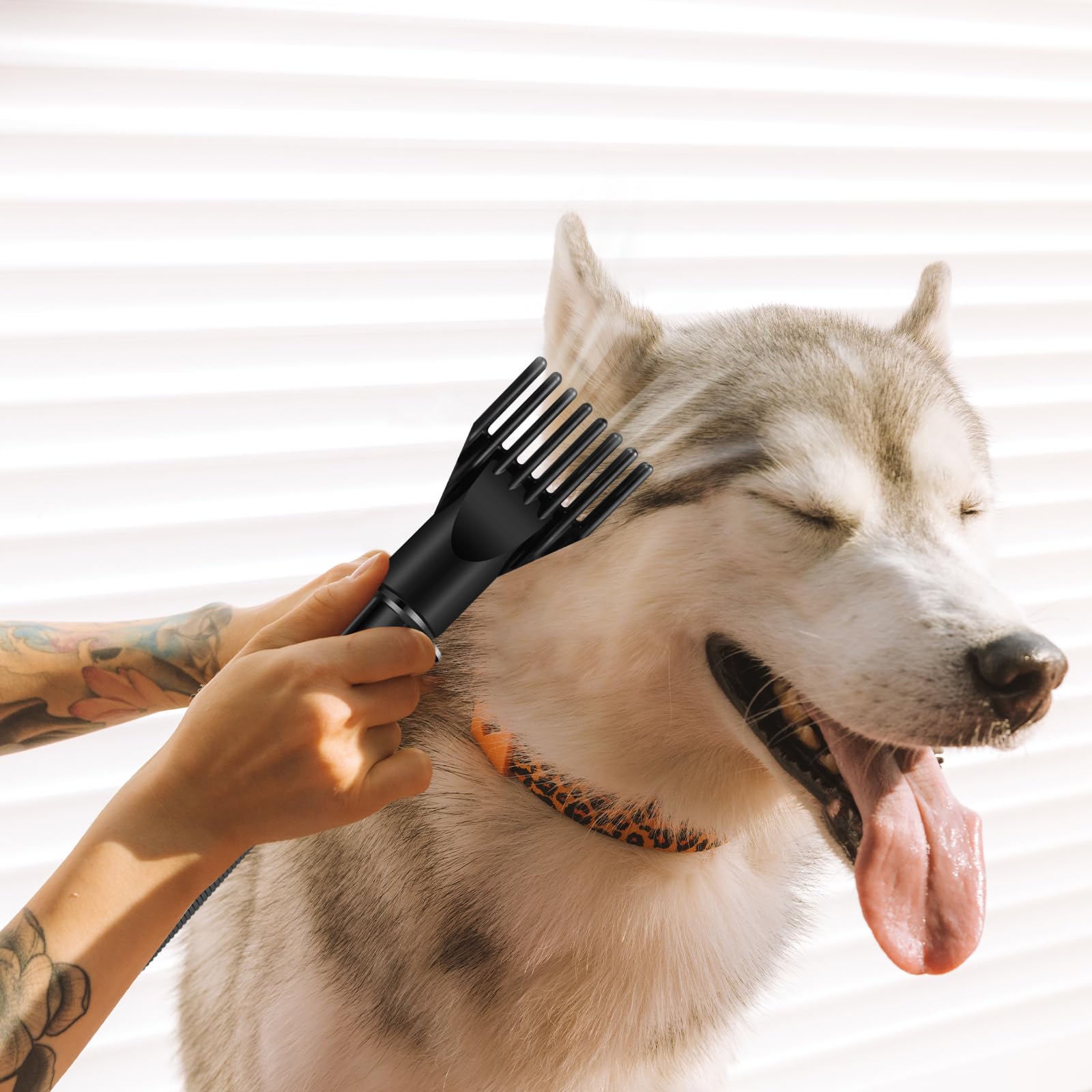 2800W secador de pelo de mascotas sin escalonamientos de baja velocidad de ruido de peluquería del gato secador de pelo profesional de calefacción Blaster soplador con 4 boquillas