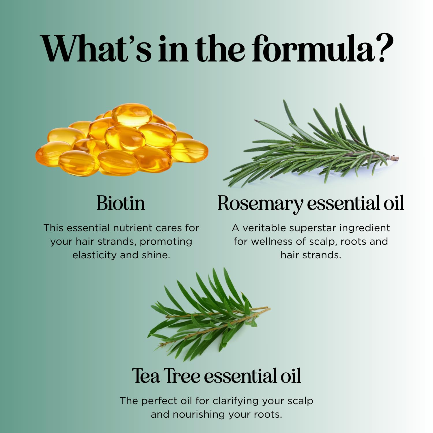 Maple Holistics Biotina Shampoo Al Rosmarino Per La Crescita Dei Capelli - Vegano Senza Solfati Shampoo Biotina Di Rosmarino Per Dimagramento Dei Capelli E Caduta Dei Capelli Con Olio Essenc