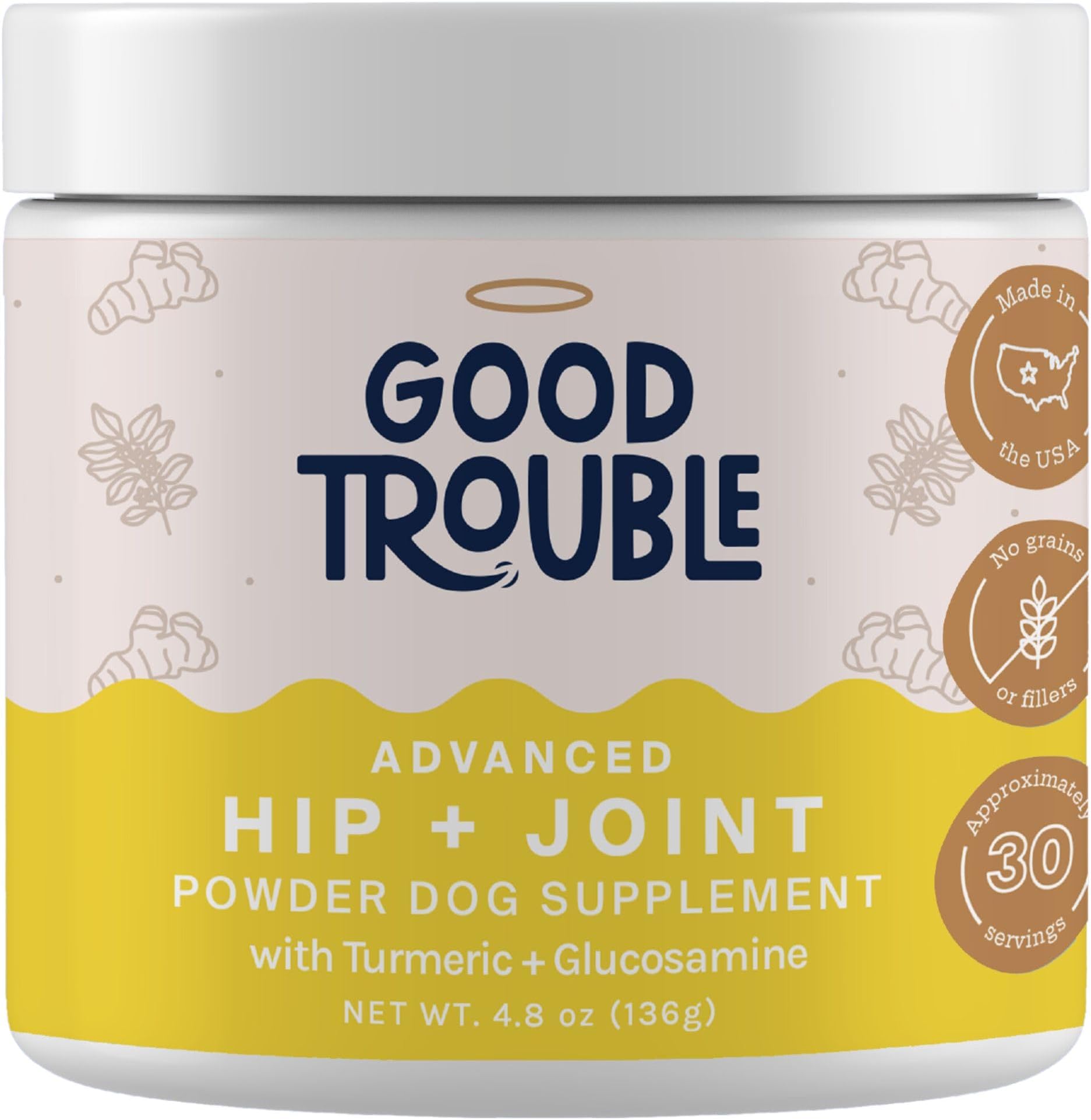Hip and Joint Advanced Powder with Tumeric & Glucosamine by Good Trouble Pets - Joint Supplement for Dogs with Vitamins, Supports Healthy Joints (4.8 oz, Beef)