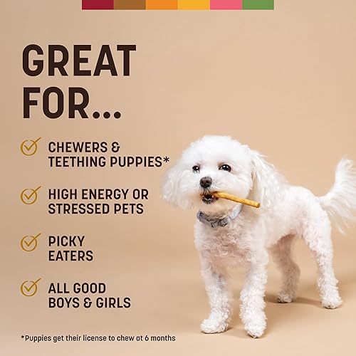 Miniatura 7 de Earth Animal Stix No-Hide - Palitos masticables para perros y gatos, hechos en Estados Unidos, golosinas naturales alternativas al cuero crudo