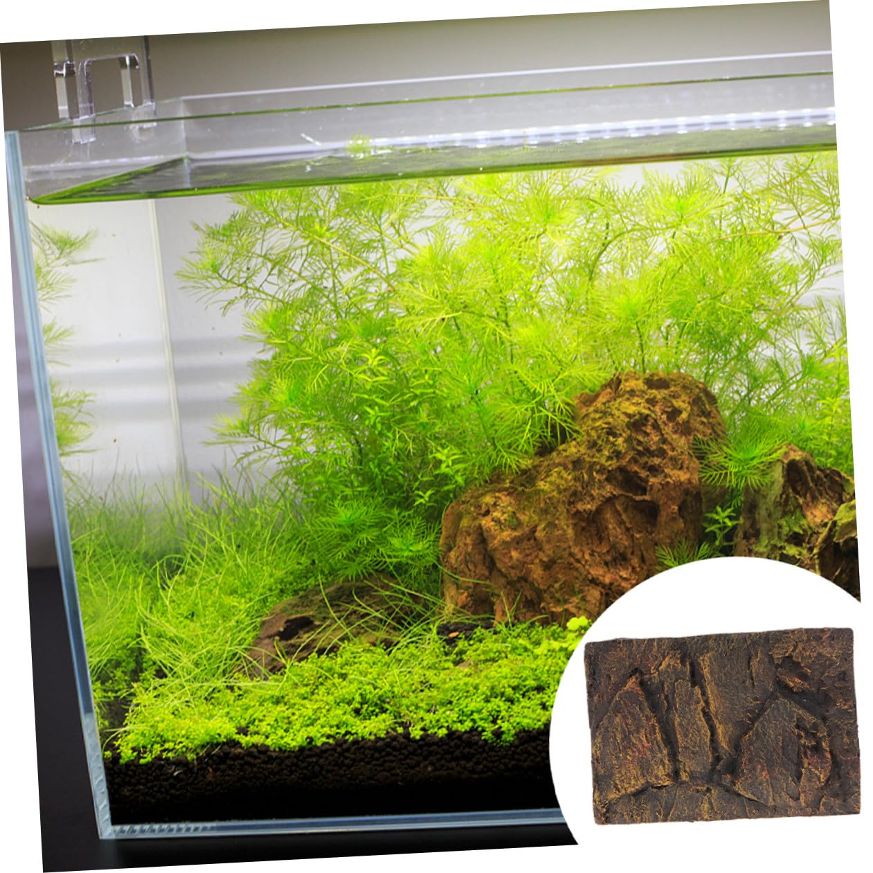 SHINEOFI Tablero de Fondo para Acuario PU 3D 2piezas Decoración | Terrario y Tanque de Tortugas, Escena Decorativa, Acabado Fresco y Chic