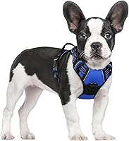Vista 62 de rabbitgoo Arnés para perro, arnés sin tirones para mascotas con 2 clips para correa, chaleco acolchado suave ajustable para perro, chaleco Oxford