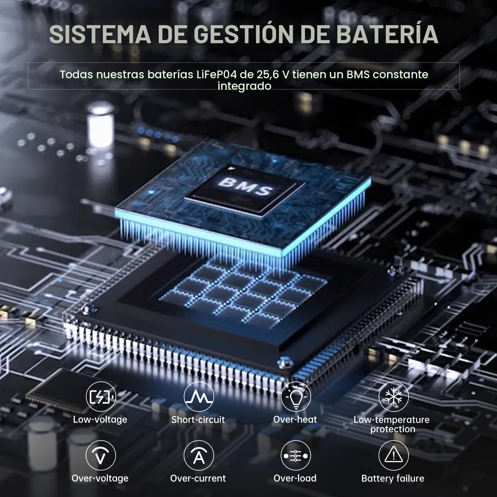 12V 100Ah LifePo4 con protección contra bajas temperaturas (12V 100Ah Lifepo4)
