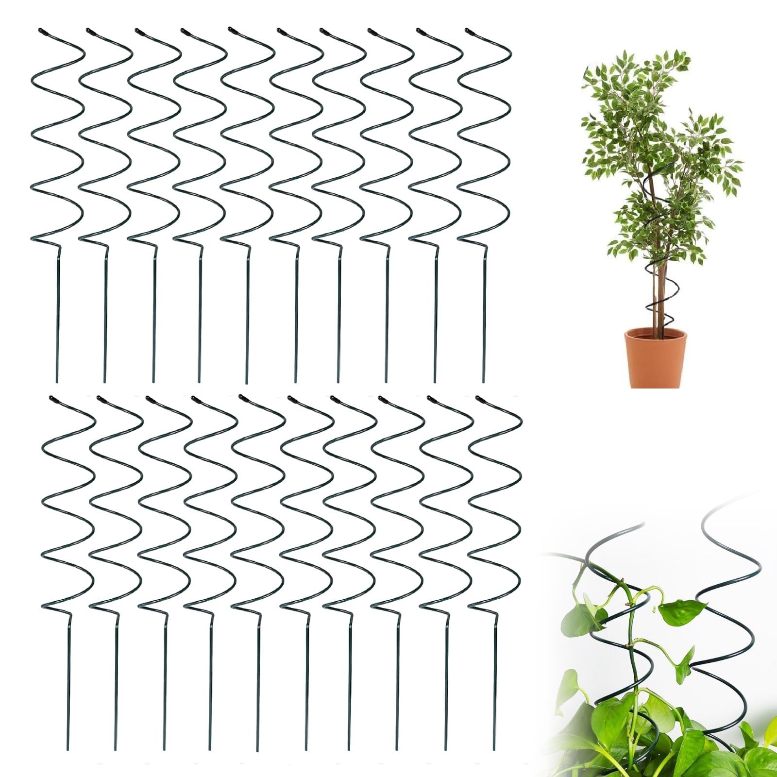 Piquet de tomate Twist en spirale - Support pour plantes à tomates - Support pour plantes en pot - Rose vigne - Support de jardin
