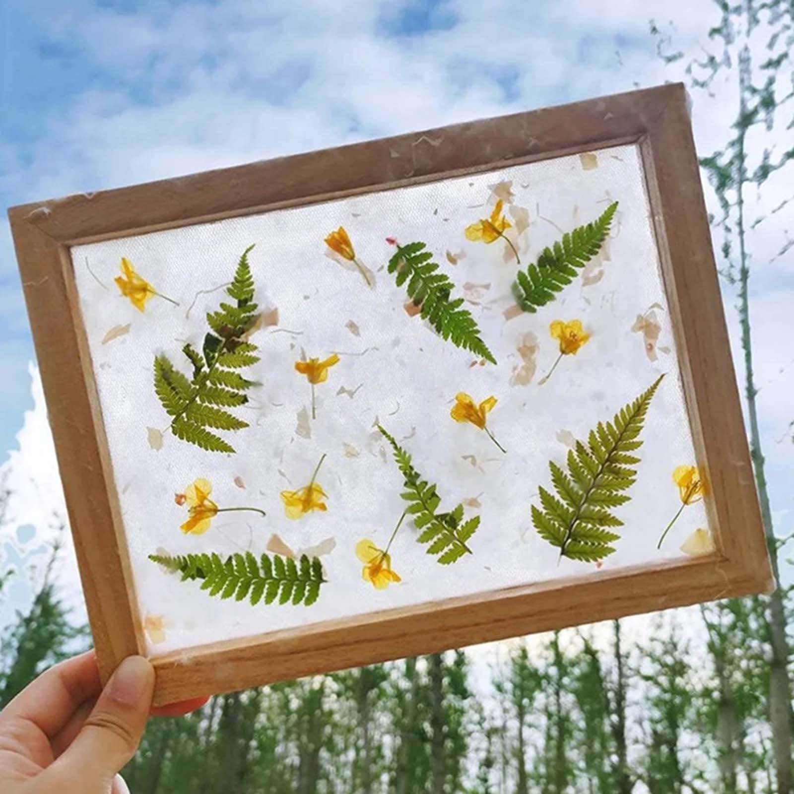 Pantalla para producción de papel de madera 3 tamaños Marco para moldes y manualidades