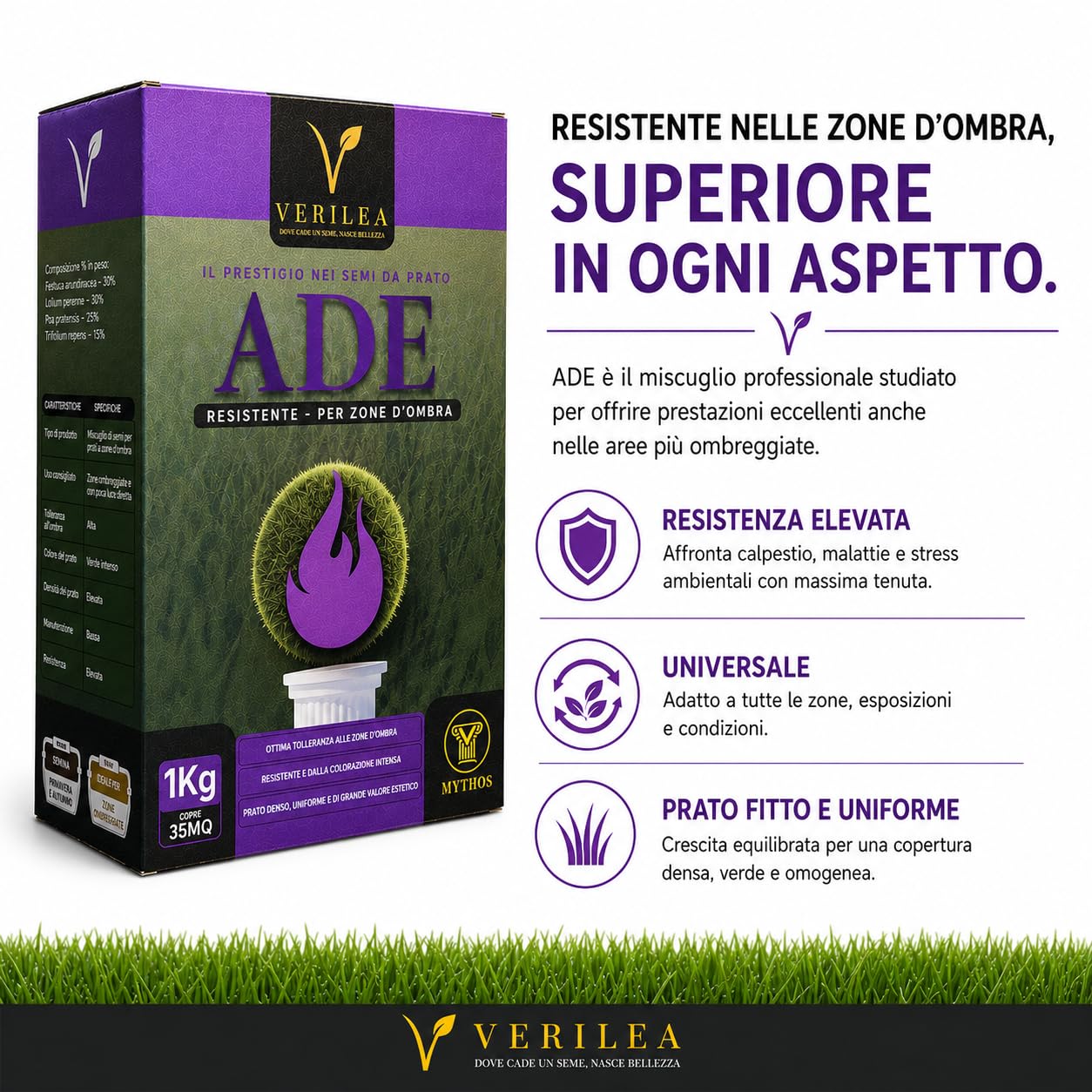 VERILEA ADE - Semi da Prato micorizzati per Zone d'Ombra, esteticamente superiore e resistenza elevata a siccità e calpestio. (10Kg per 350mq)