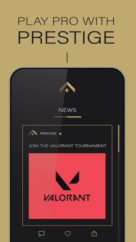 Prestige - ALL A GAMER NEEDS