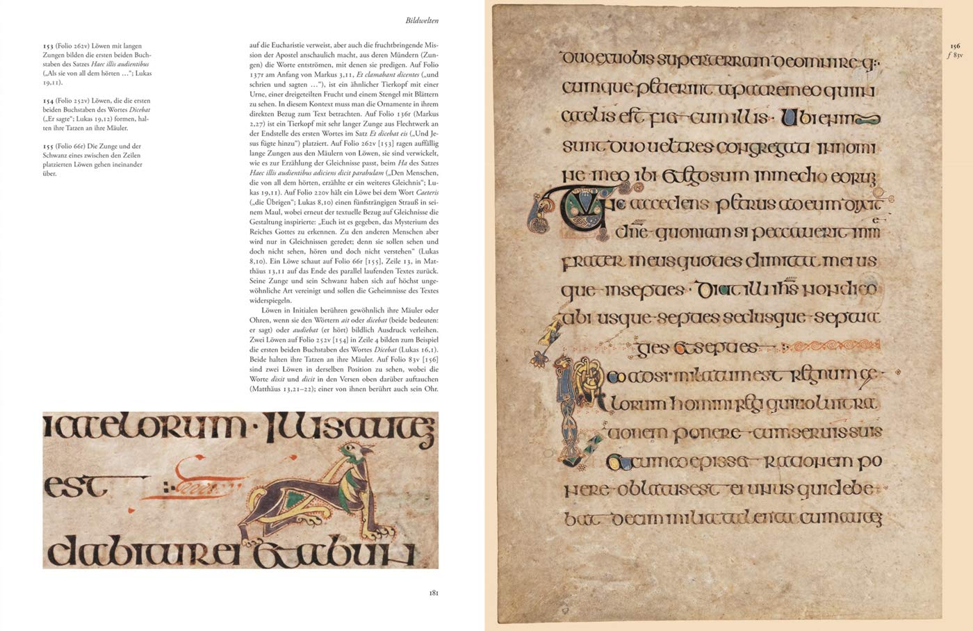 Book of Kells. Das Meisterwerk keltischer Buchmalerei. Die Symbolik der Bilderwerke entschlüsseln und eine der bedeutendsten Handschriften des Mittelalters verstehen. Ein Standardwerk der Mediävistik