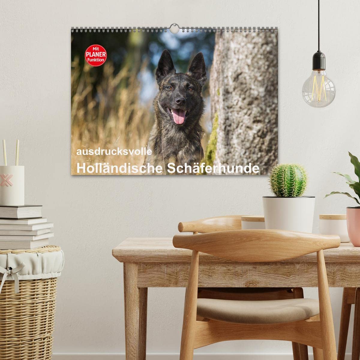 ausdrucksvolle Holländische Schäferhunde (Wandkalender 2025 DIN A3 quer), CALVENDO Monatskalender: Beieindruckend und ausdrucksstark - Holländische Schäferhunde (CALVENDO Tiere)