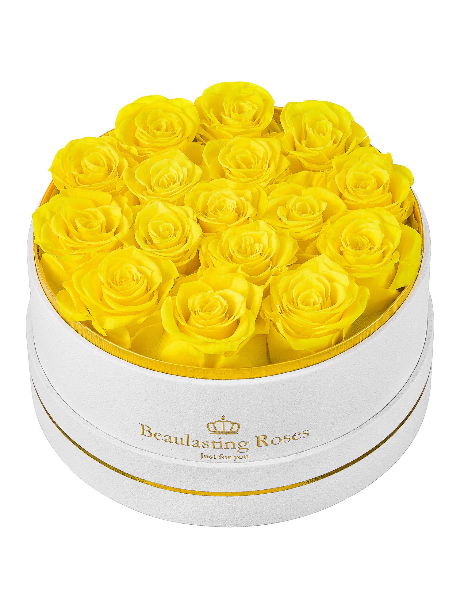 Beaulasting 16 preserved roses