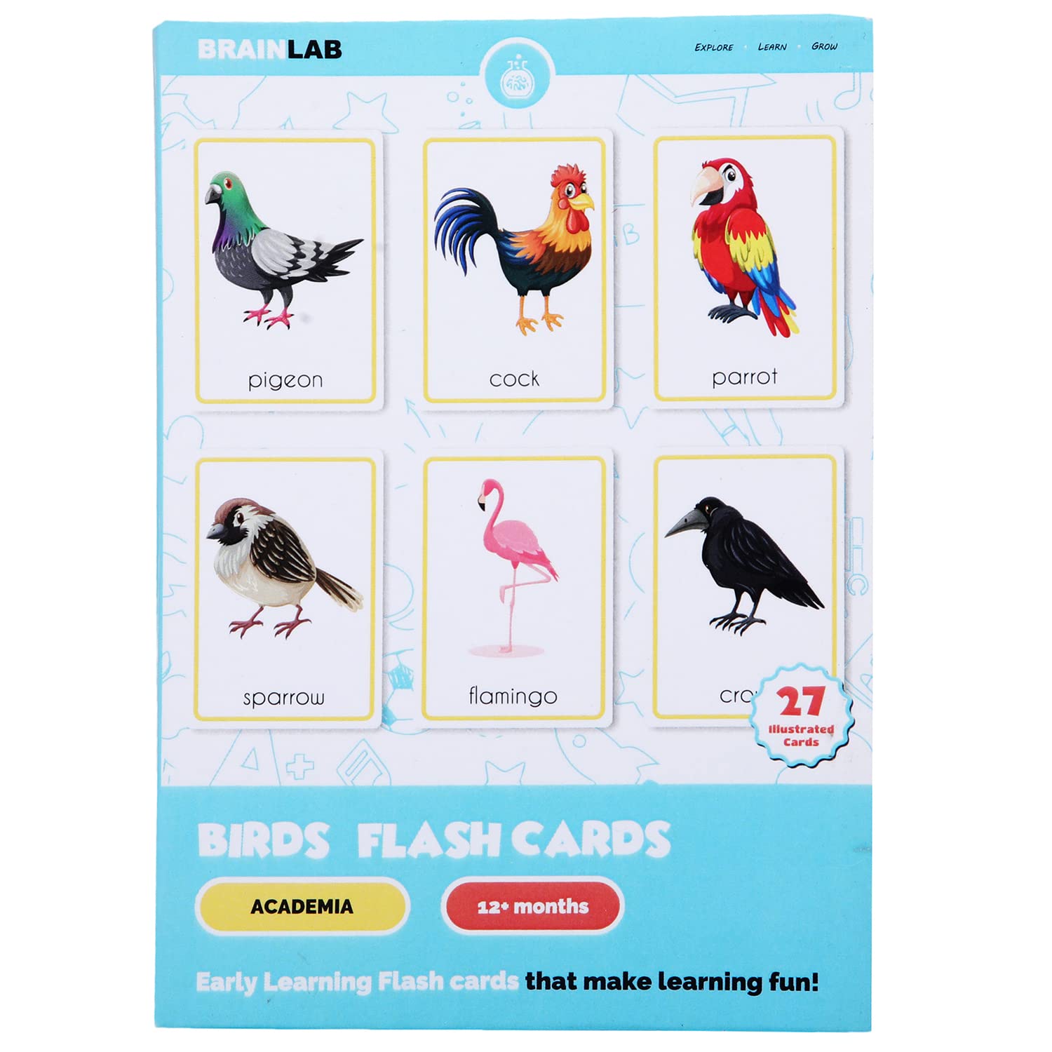 Buy THE BRAIN LAB Pack of 27, Birds Flash Cards for Kids, 1 Yr & Above