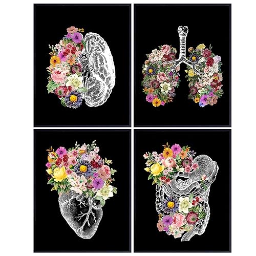 Human anatomy Decoration LARGE 11x14 - Vintage Flower Organs Wall Art for Hospital, Doctor, Nurse - Heart, Lungs, Brain Anatomy Decor - ER Nurse