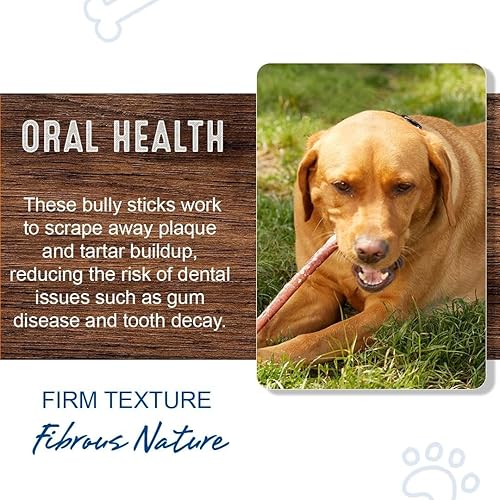 Miniatura 3 de PETSWORLD Palitos de carne de res de 12 pulgadas de grosor paquete de 6, totalmente naturales, pizzas de res, sin olor y de larga duración para