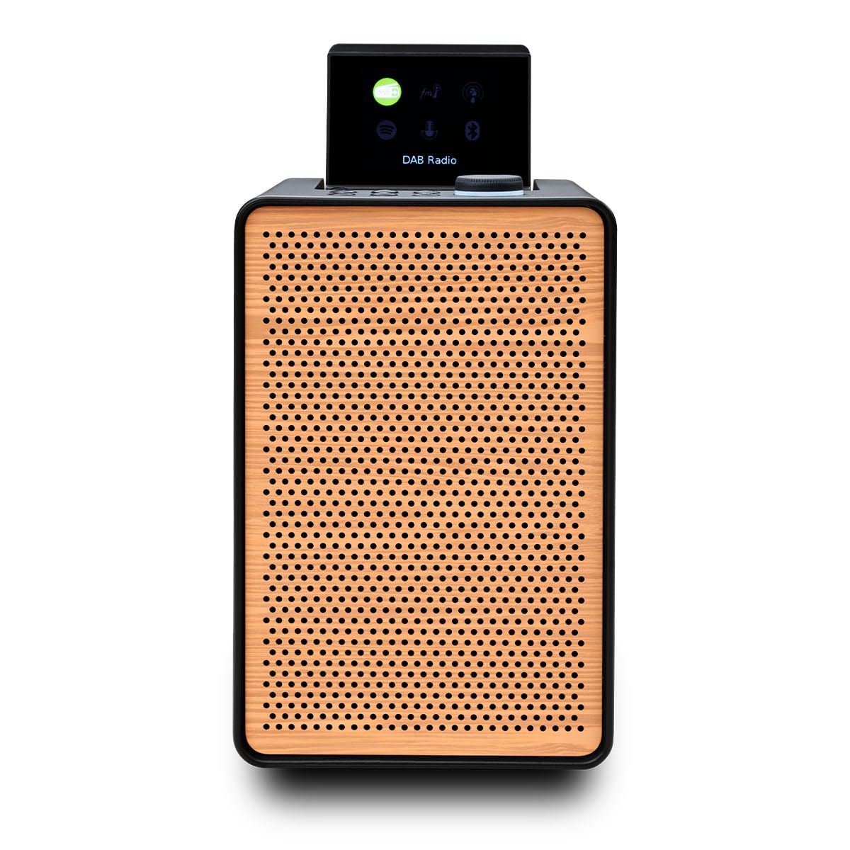 Pure Evoke Spot - Système Audio Compact Radio DAB+/FM, Internet, Bluetooth 20W - Noir Café