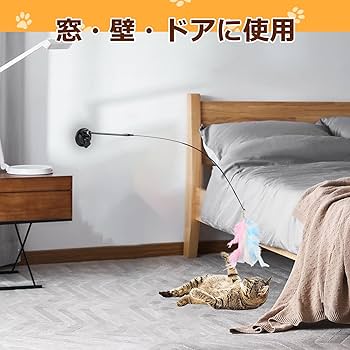 Amazon.co.jp: NBVNBV【Amazon限定ブランド】猫じゃらし 吸盤式