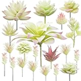 Cayway 20 PCS Artificial Succulents Picks Creamy White Artificial Succulent Plants, Fake Succulent Assortment in Flocked in Different Type for Indoor and Outdoor Home Decor Floral Arrangements