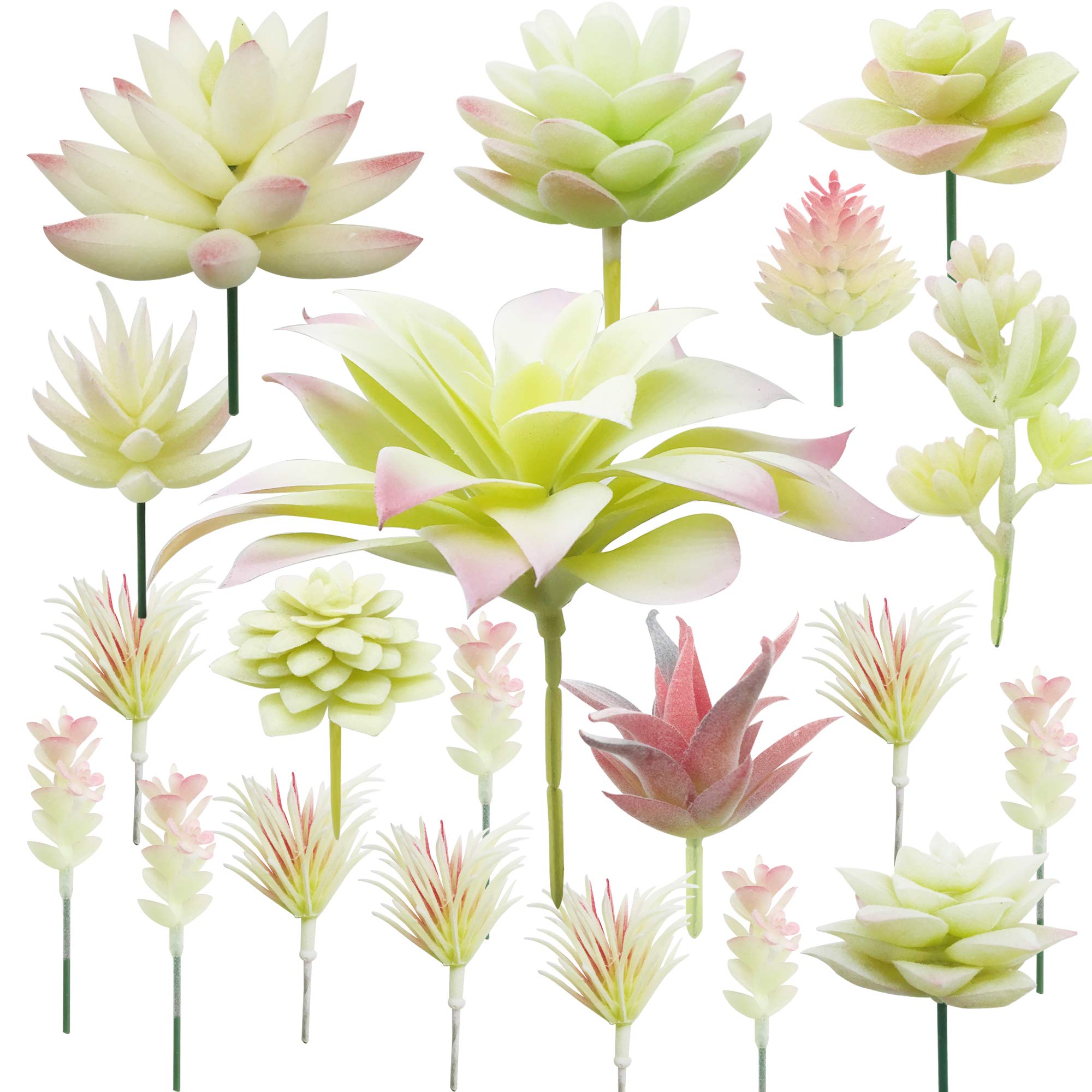 Cayway Stlye 3 20 Pcs Artificial Succulents Picks Creamy White Artificial Succulent Plants, Fake Succulent Assortment In Flocked In Different Type For Indoor And Outdoor Home Decor Floral Arrangements