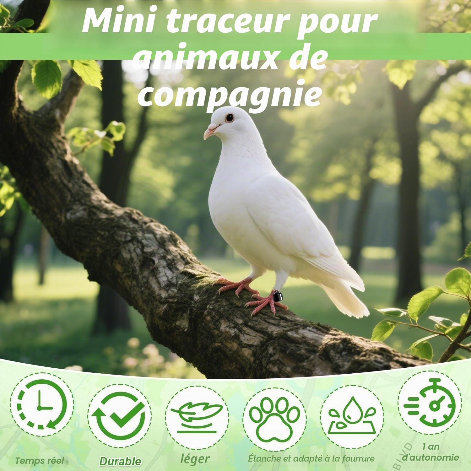 Traqueur de chien et chat avec colliers, traqueur intelligent pour chats sans frais mensuels, pas de SIM nécessaire, compatible avec iOS/Android, dispositif de suivi mondial pour tous les chats et