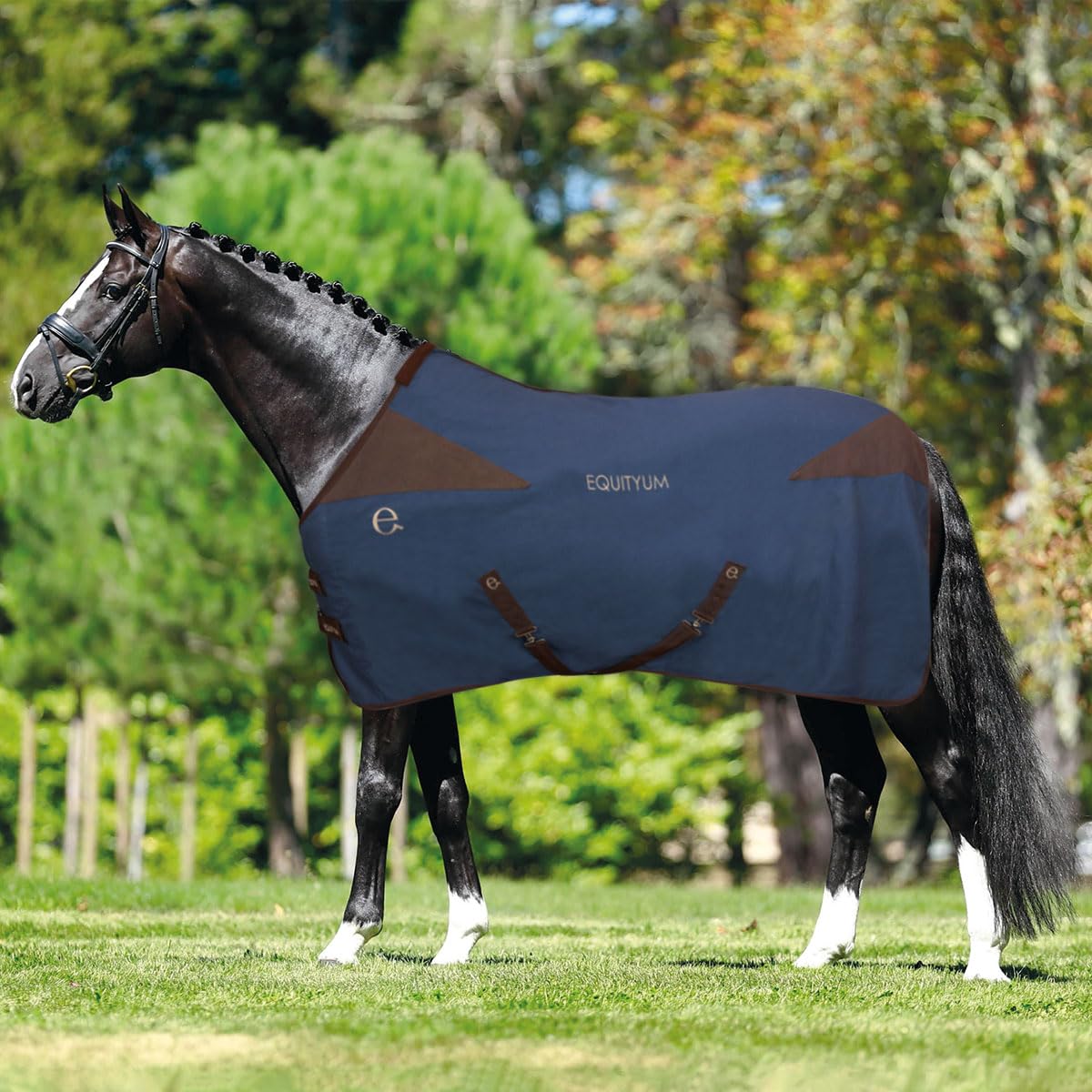 Couverture en coton Equityum protégeant le cheval des sauts de température